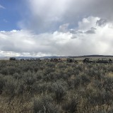 IMG_0858