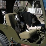 TheGangridin