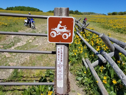 20180602_110034.jpg