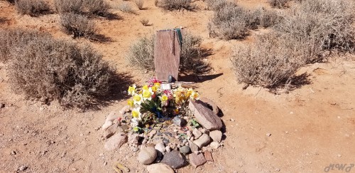 20180708_101437.jpg