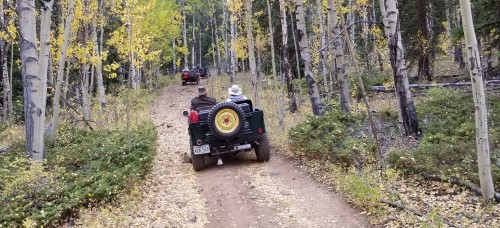 20180923_212616.jpg
