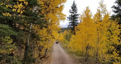 20180923_214413.jpg